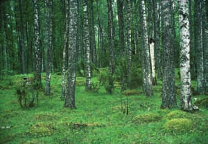7.12.1 Lehtimetsälaitumet Koko maa 1 2 - CR Pohjois-Suomi 1 2 - CR Etelä-Suomi 1 2 - CR muu metsänhoito kuten maan muokkaus ja istutukset, umpeenkasvu laidunnuksen loputtua, pellonraivaus,
