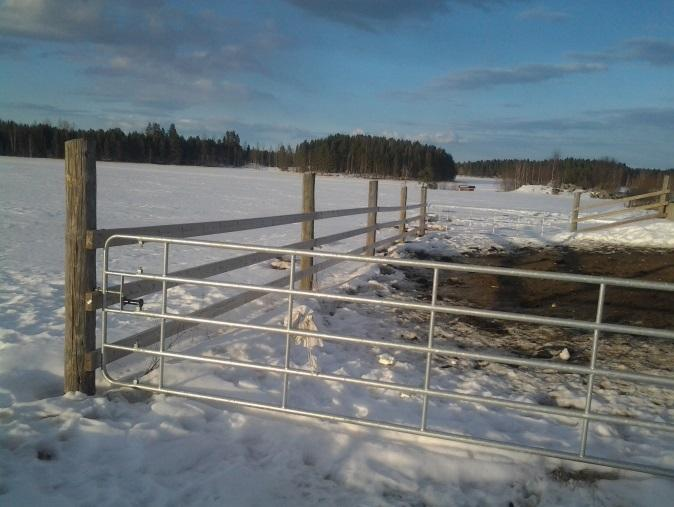 27 2.3 Jaloittelutarhat (Anni Tiitinen) Jaloittelualueet ja tarhat ovat rajattuja alueita eläintilojen ulkopuolella (Kuva 3).