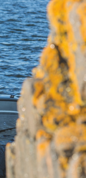 KEULARAMPIN TUOMAT EDUT AJO-OMINAISUUKSISTA TINKIMÄTTÄ. 545 SC on keularampillinen monikäyttövene kahdella pulpetilla.