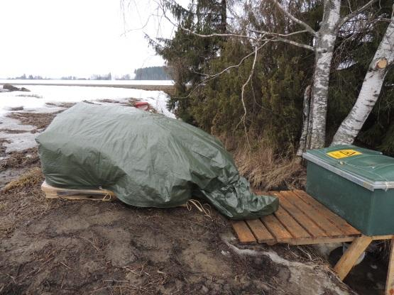 Yhden Paimionjoen pilottikohteen ojan valuma-alueella oli myös laidunta. Kuva: Päivi Joki- Heiskala C. Uskon kosteikkojen mahdollisuuksiin kuormituksen vähentämisessä.