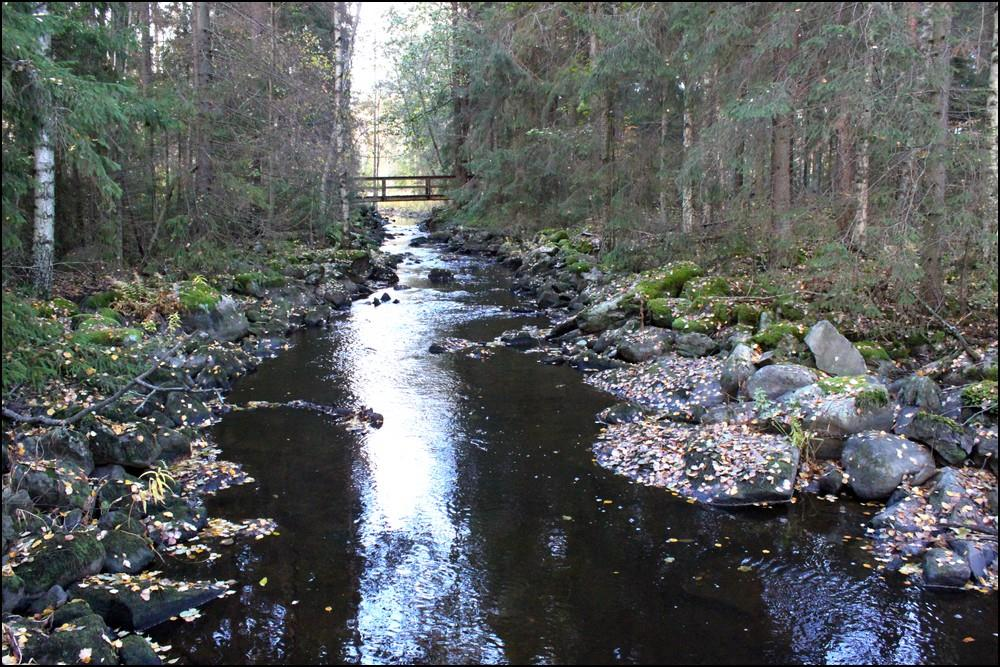 10 3.5 Pitkäkoski 3.5.1 Koeala Pitkäkoski on voimakkaasti perattu rännimäinen koski. Koealan pituus oli 42 metriä ja leveys 2,5 metriä, pinta-ala oli 105 m 2.