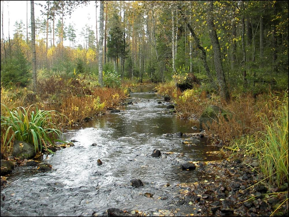 11 Taulukko 6.