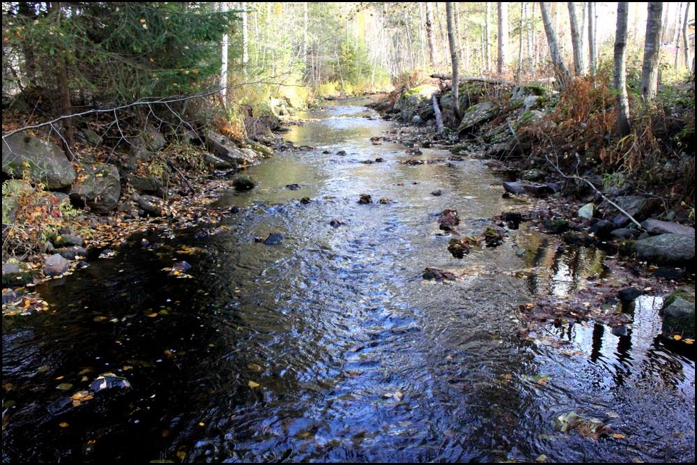 5 3.2 Koskin kylä 3.2.1 Koeala Koskin kylän koealan pituus oli 64 metriä ja leveys 3,5 metriä.