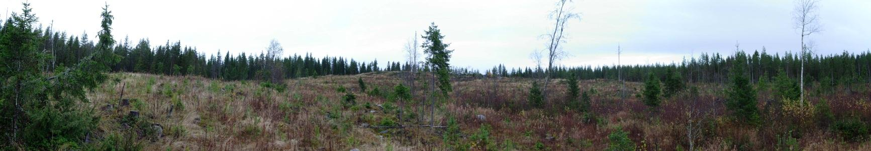 PYHÄJÄRVEN VUOHTOMÄEN TUULIPUISTON