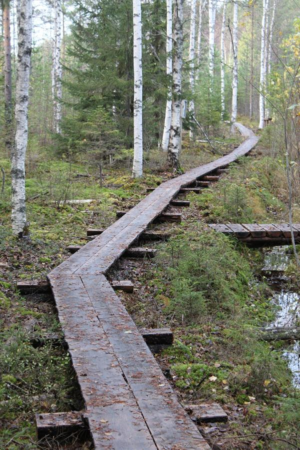 MunReitti Toiminta- ja työkykyvalmennuksen