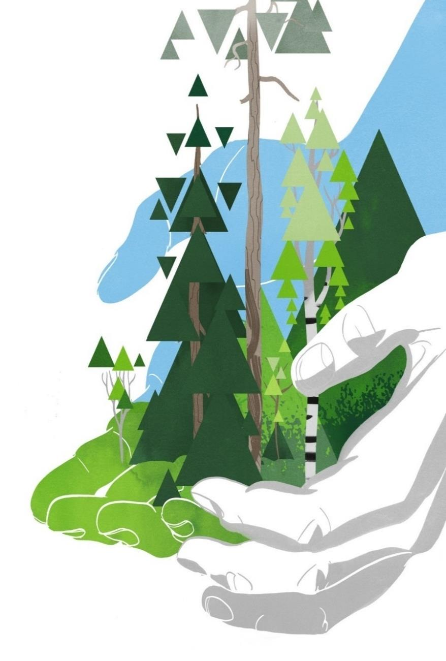Etelä-Karjalassa metsäbiotalouden merkitys maakunnan taloudessa on Suomen suurin Metsäbiotalous muodostaa pääosan maakunnan koko biotaloudesta. Esimerkiksi tuotoksesta sen osuus oli 78 %.