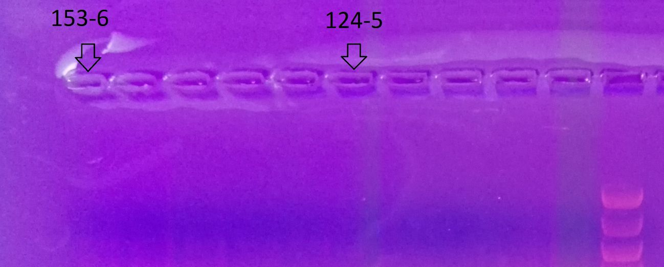 22 Kuva 13.