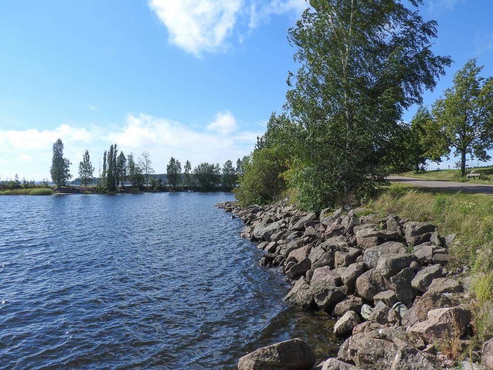 Kenttäkerroksessa kasvaa muun muassa harmiota (Berteroa incana) sekä joitakin yksilöitä harvinaista isotakiaista (Arctium lappa). Norssaaressa on myös veneidensäilytyspaikkoja.