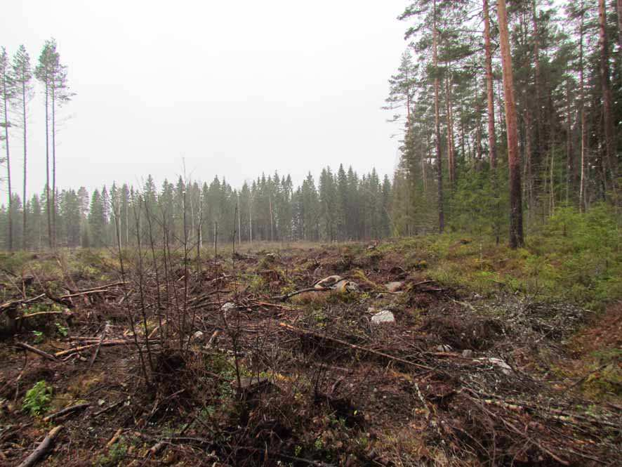 Löydöt voidaan liittää kaava-alueen etelälounaispuolella sijaitsevaa Visasen pellon löytöpaikkaan (raportin kohde 3). Kuva 12.