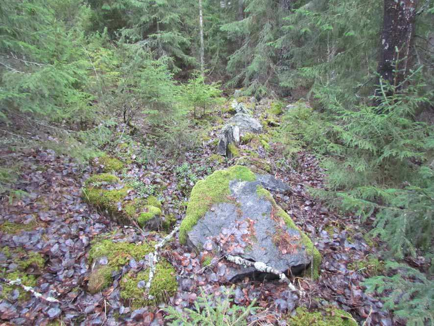 pienempien kivien muodostama, halkaisijaltaan 1 m oleva, pyöreä röykkiö, jonka keskellä kasvaa mänty. (kuva 26) Kuva 26. Rakenne F kuvattuna länsilounaasta.