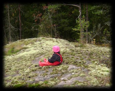 Luonnon sankarit käyttävät lähiluontoa leikki- ja oppimisympäristönä Tänä lukuvuonna Luonnon sankarit -yhteistyössä on mukana kahdeksan 3-5-vuotiaiden ryhmää.