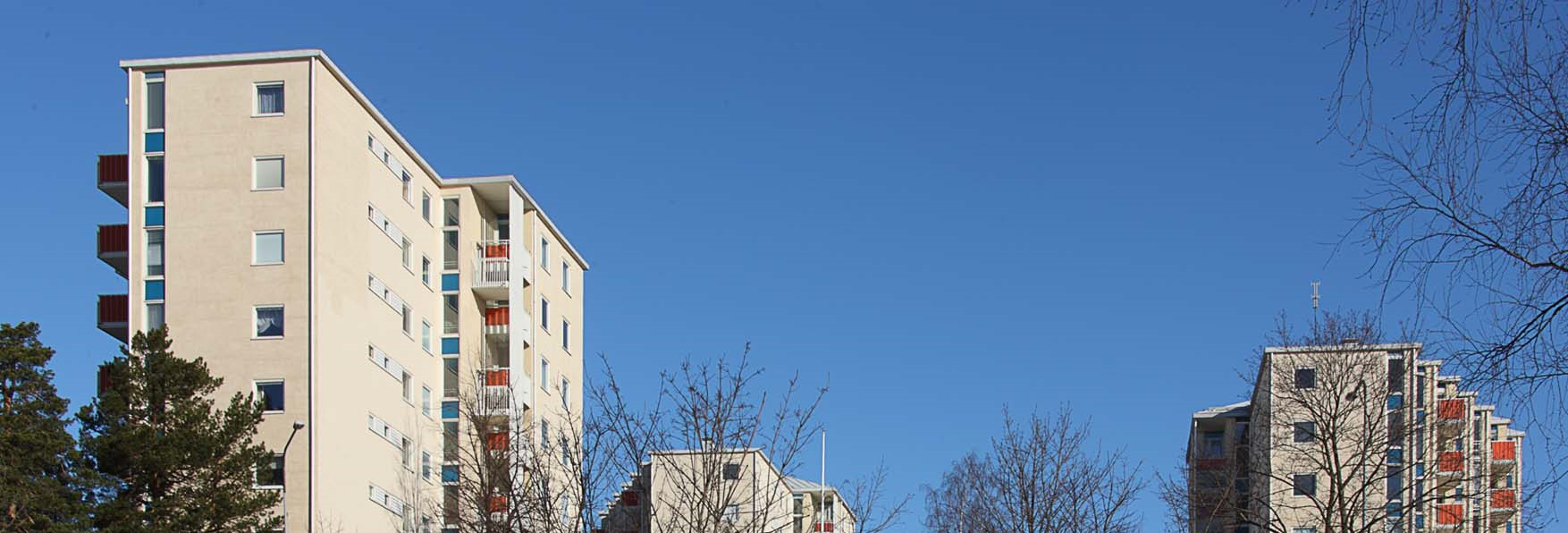 Asunto Oy Hiihtovuori,