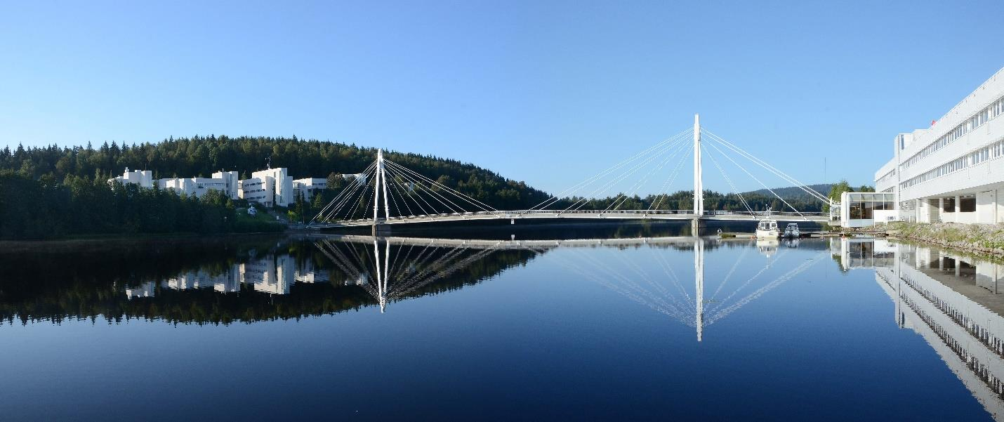 UNIVERSITY OF JYVÄSKYLÄ SCHOOL OF BUSINESS AND ECONOMICS N:o 383 / 2016 10.