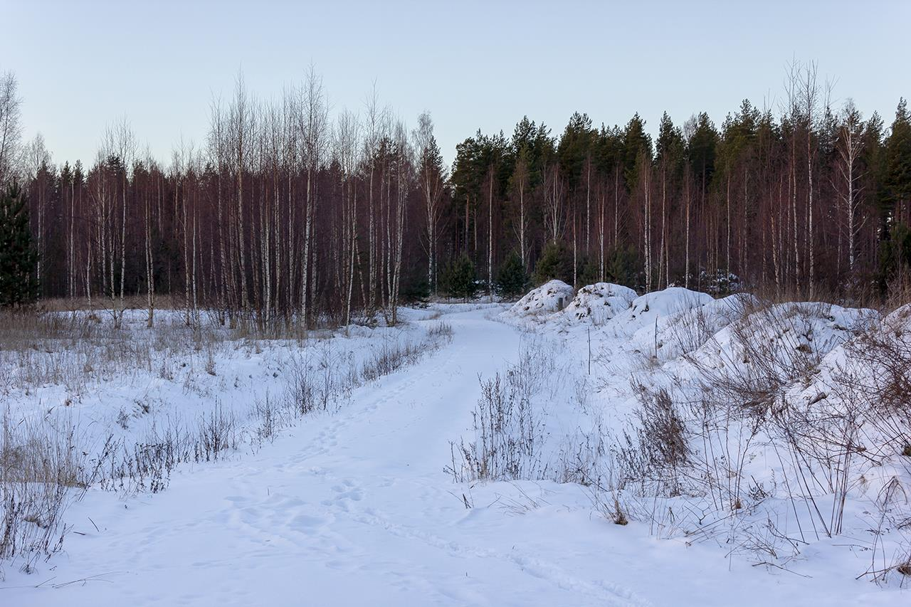 2 LÄHTÖKOHDAT 6 2.1 Selvitys suunnittelualueen oloista 2.1.1 Alueen yleiskuvaus Suunnittelualueella on voimassa olevassa kaavassa kolme rakennuspaikkaa, joista yhteen on rakennettu.