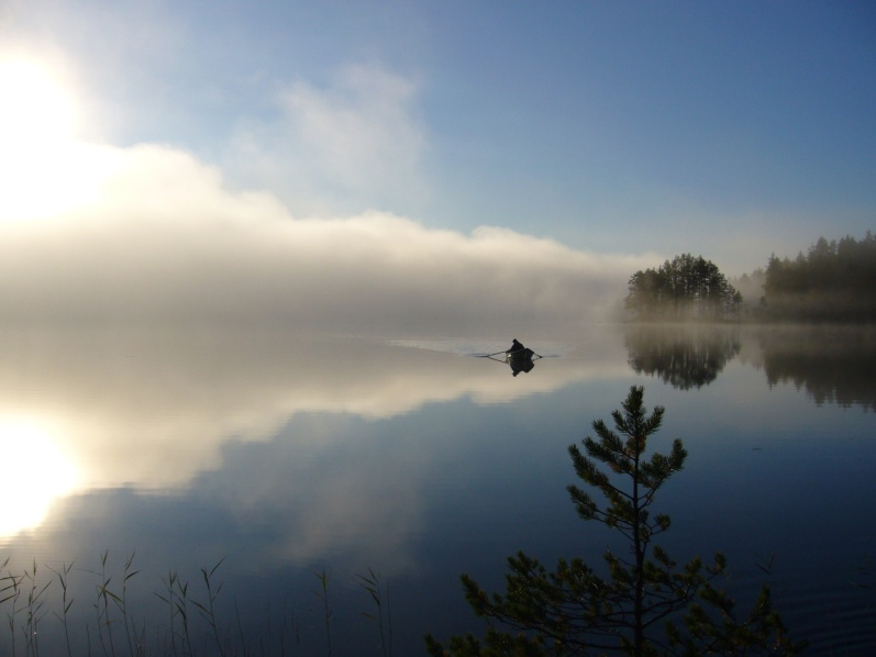 Järvi kerrostumisympäristönä Järviä voidaan luokitella monella tavalla, esimerkiksi syntytavan tai ravinnetason mukaan Luokittelusta ja