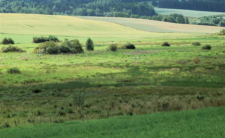 6.2. Lintuvesikunnostus TOIMET VUOSINA 2006-2008 Sarkkilanjärvelle on laadittu kunnostussuunnitelma kosteikkolintujen elinympäristöjen parantamiseksi (Moilanen 2006).