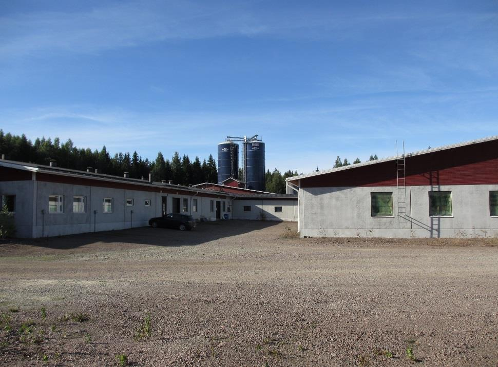 SALMONELLASANEERAUS SIKALASSA Salmonellaa todettiin kolmesta vieroitusosastosta, rehu-, ja tarvikevarastojen lattioista sekä kuolleina syntyneiden porsaiden / emakon karsinasta.