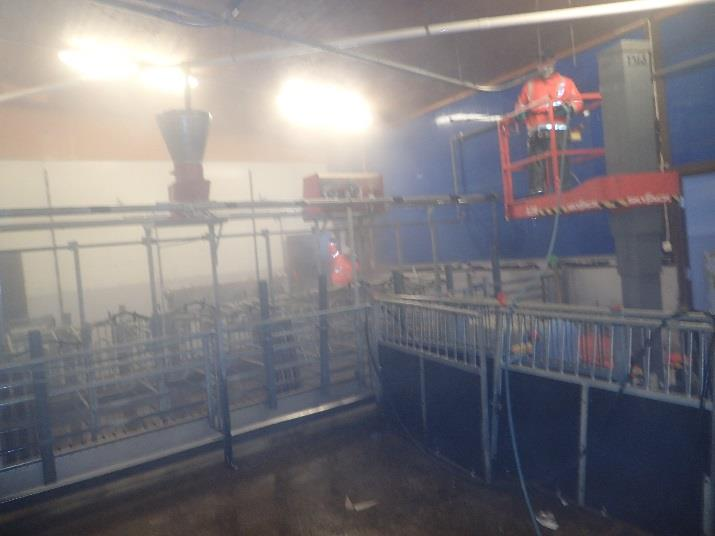 SALMONELLASANEERAUS SIKALASSA Pesuprosessi 1. Mekaaninen puhdistus, kaikki lanta ja lika pois, lietekanaalit lasketaan tyhjiksi. 2.