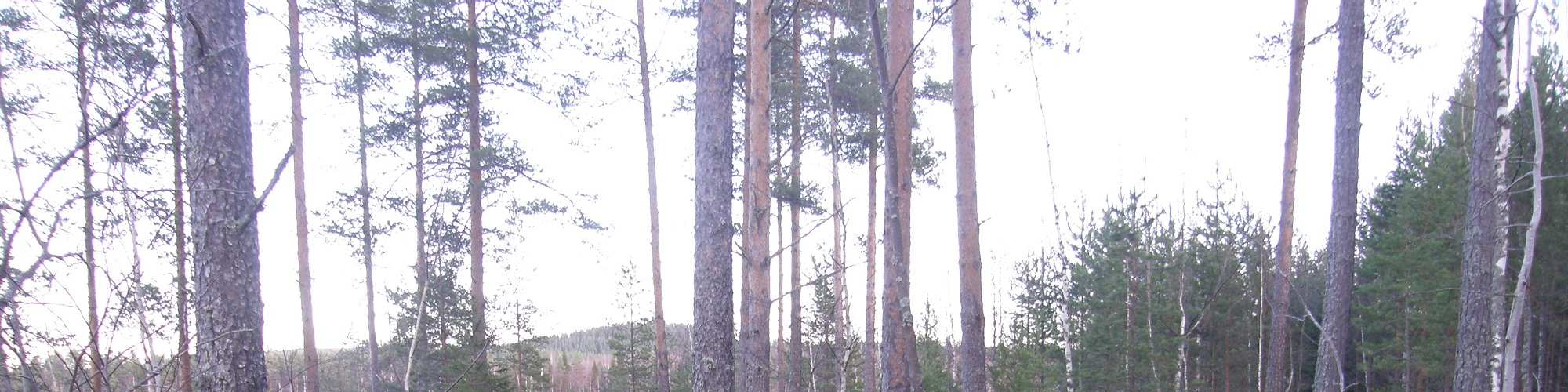 ENONKOSKI SAIMAAN RANTAYLEISKAAVAMUUTOS