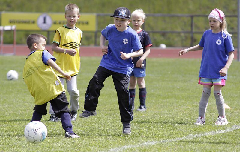 Vuoden 2013 painopisteet Hallinto Organisoituminen Varainhankinta Johtokunta Jojo työskentely Joukkueiden yhteistyö ja hallinto Varainhankintaryhmä Länskäriliiga Organisointi Yhteistyö seurojen ja