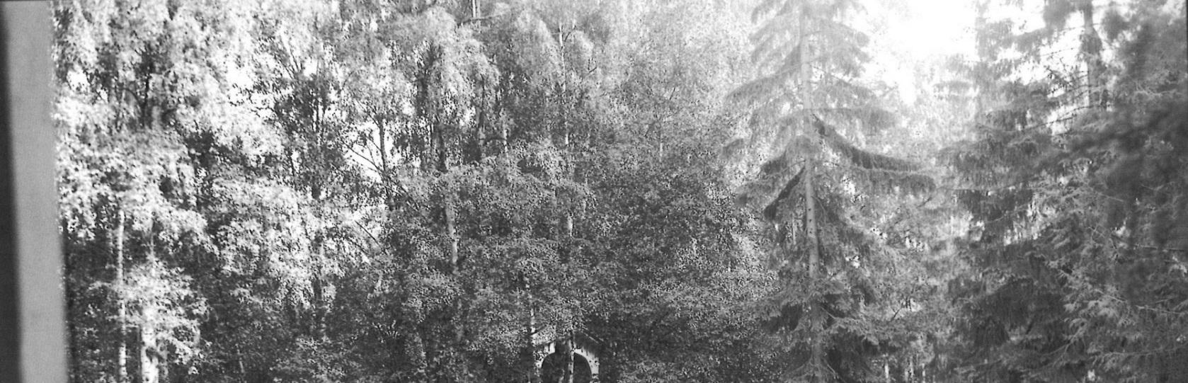Puiston