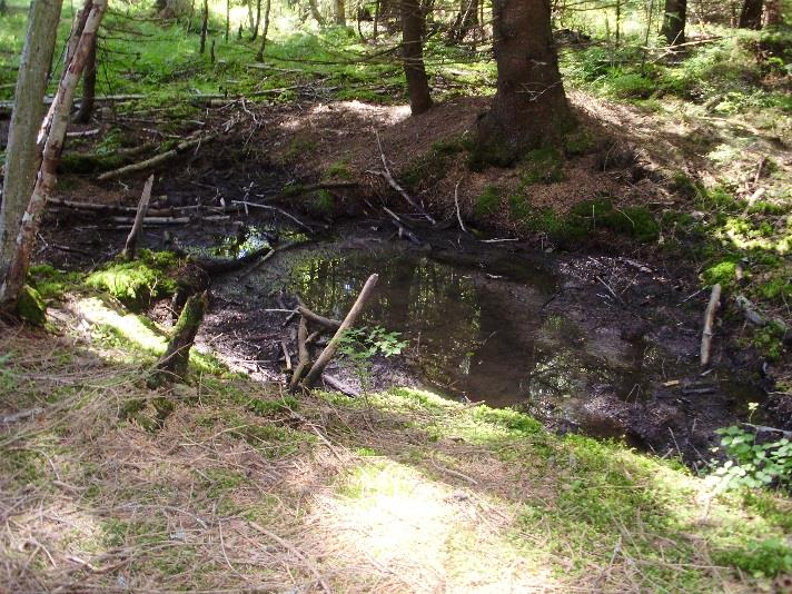 vesi purkaantuu pieneen altaaseen.