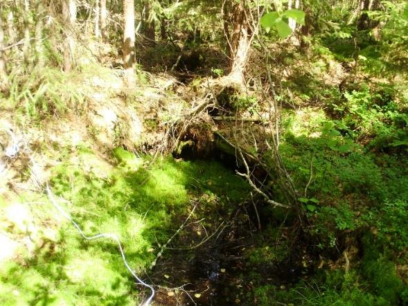 2016 Lähdetyyppi Puro lähde Jokseenkin luonnontilainen