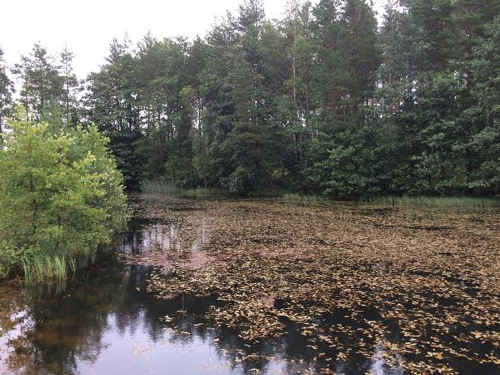 vastakkaisilla reunoilla hiekkakasat ja lammen