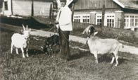Talon sisätilojen alkuperäiset seinä- ja kattopinnat levytettiin 1970-80 -luvuilla piiloon.
