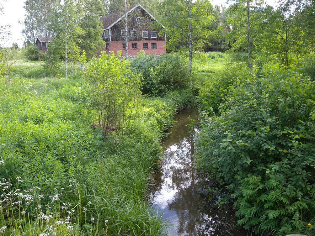 3. Selänojan kohteet Selänoja kulkee Hausjärvellä Brusilansuolta Vantaanjokeen. Selänojan varrella on mahdollisia paikkoja kosteikoille, laskeutusaltaille tai tulvatasanteille.