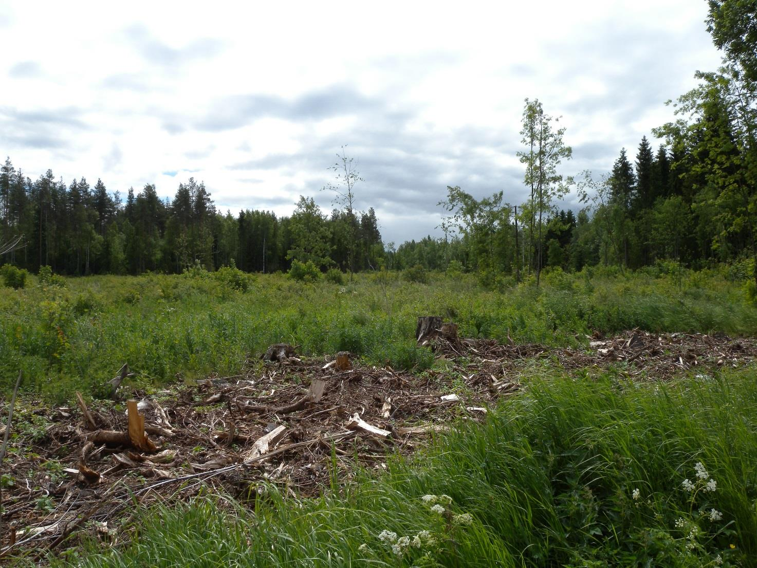 5. Keipinsuo Keipinsuo sijaitsee Hausjärvellä. Suo on osittain metsittynyttä, osittain avointa aluetta. Keipinsuon läpi kulkee Vehkaoja, joka liittyy myöhemmin Vantaanjokeen.