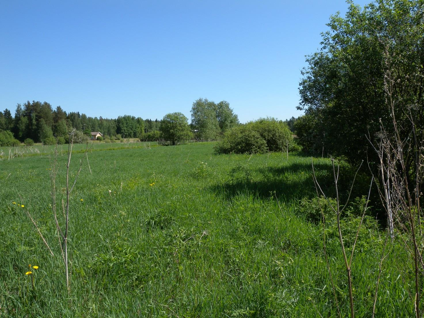 10. Teerimäki Kohde on luonnonniittyä ja sijaitsee Riihimäellä. Niityn halki kulkeva pelto-oja laskee Uhkolanojan kautta Vantaanjokeen.