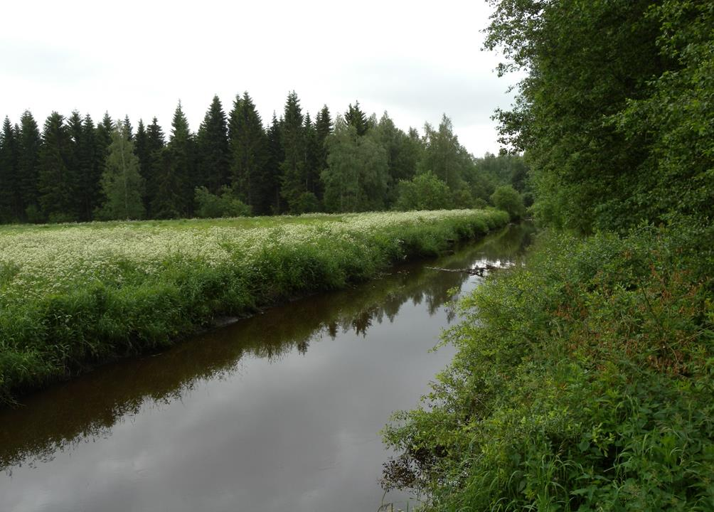 12. Silmäkeneva Silmäkeneva on Riihimäellä merkittävän tulvariskialueen alapuolella sijaitseva laaja suoalue, kooltaan noin 425 hehtaaria. Vantaanjoki laskee Silmäkenevan läpi kohti Suomenlahtea.