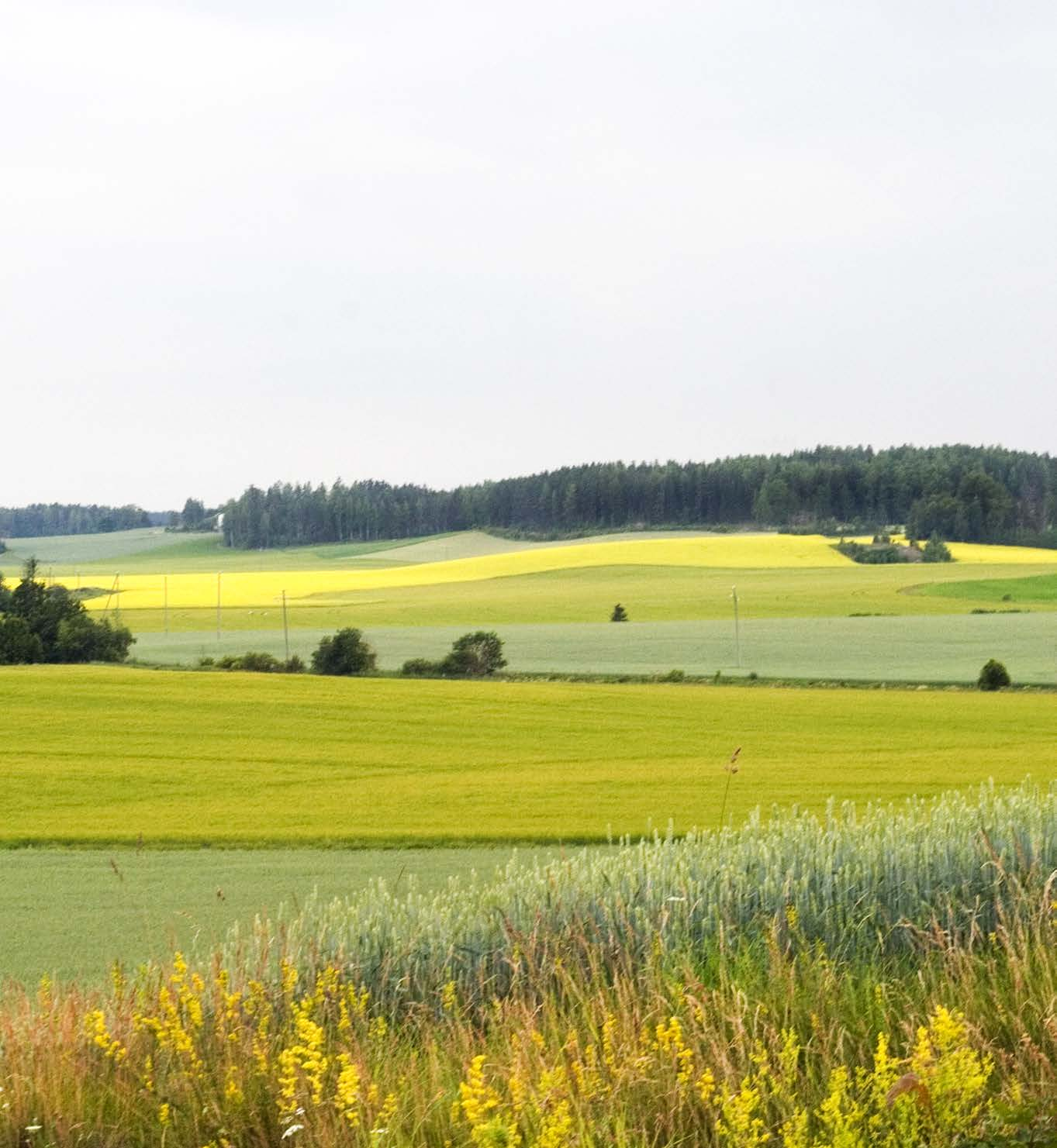 MISSÄ MAAT ON MAINIOMMAT Uudenmaan