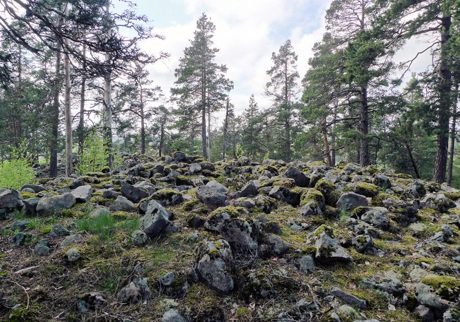 Uudellamaalla on säilynyt noin 150 pronssikautista hautaröykkiötä. Siuntion Krejansbergetillä (kuvassa) niitä on kaikkiaan viisi.