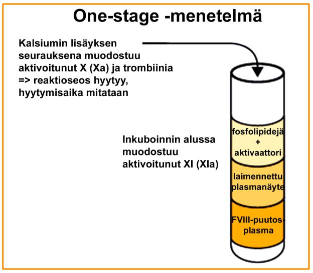 10 Kuva 3. One stage menetelmän periaate. (Chromogenix. 2002) Puutosplasma valmistetaan siten, että immunoadsorptiomenetelmällä normaalista plasmasta erotellaan hyytymistekijä VIII.