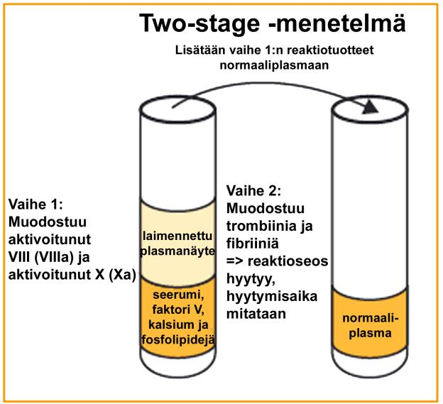 12 muutamissa erikoislaboratorioissa. (Barrowcliffe ym. 2002) Menetelmän periaate on esitetty kuvassa 4. Kuva 4. Two stage menetelmän periaate. (Chromogenix. 2002) 2.7.