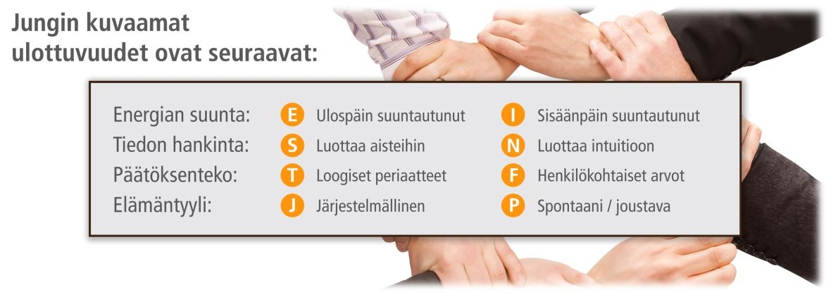 Johdanto tulosten tulkintaan Tämä analyysi on kehitetty luontaisten taipumustemme tunnistamiseen. Se antaa tietoa ja ideoita omasta erilaisuudestamme verrattuna muihin.