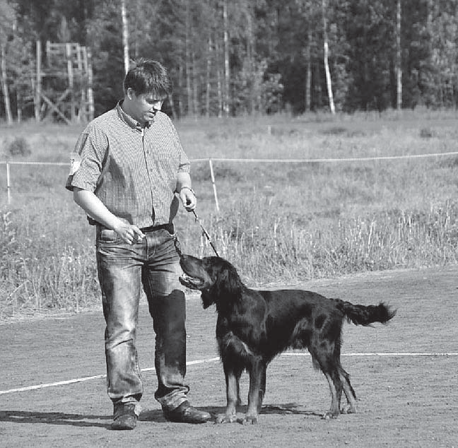 Kone lensi nopeasti syrjään ja sakset esiin, josko sillä saataisiin lähellä ollut helppo todeta, että kun oli karvoja mistä ottaa, niin harvennus meni aika nappiin.