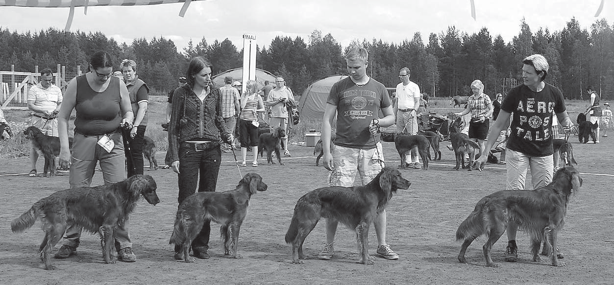 Kasv2 Kennel Ailigaslammen + KP Kasv3 Kennel Red Lovehunters + KP Suomella mahdollisuus lähettää joukkue Irlanninsetterien EM-kilpailuihin Ranskaan Kansainvälisen Irlanninsetterikerhon jäsenmaat