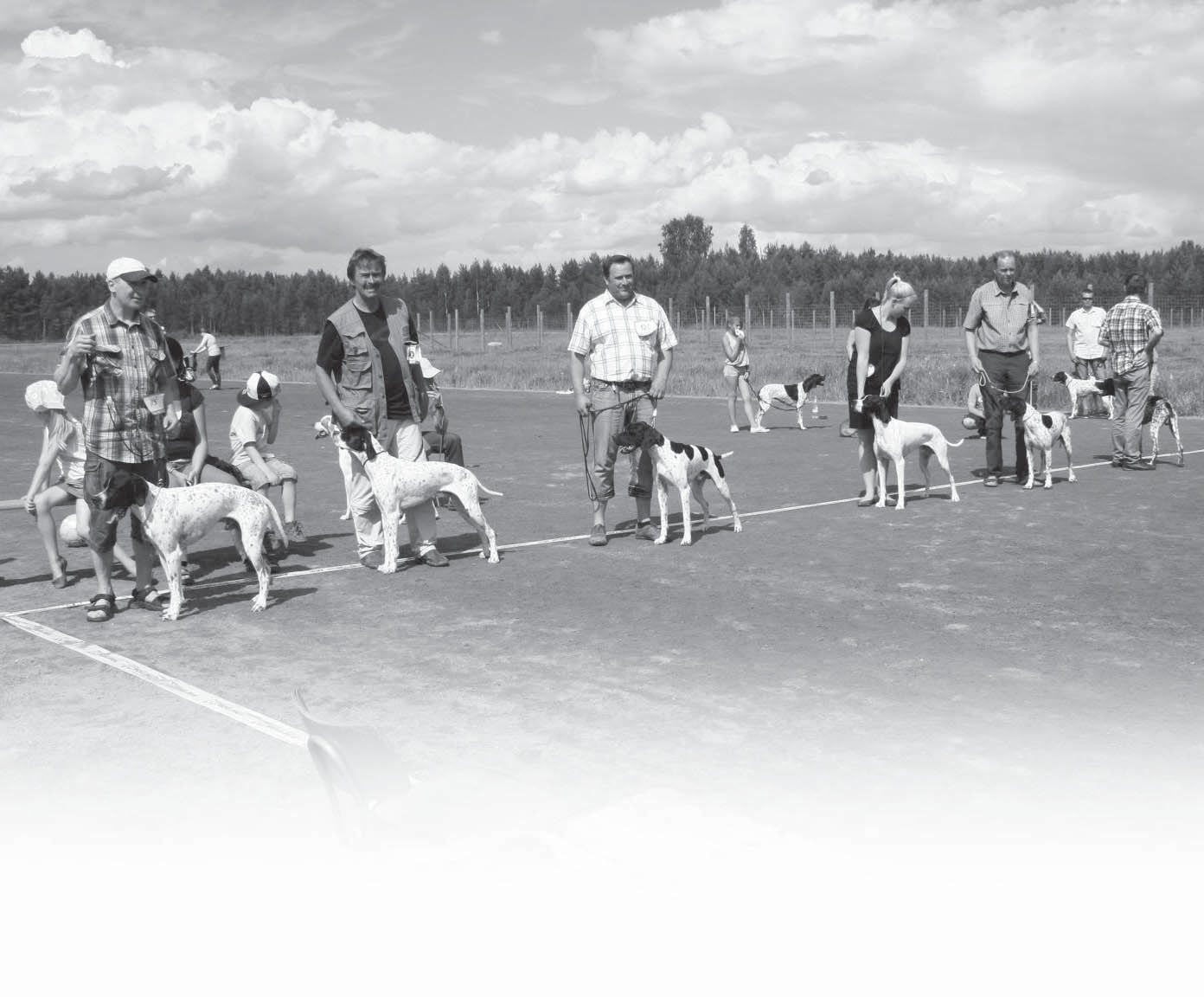 Pointterit erikoisnäyttelyssä - arvosteli pitkälinjan näyttelytuomari ja saksanseisojamies Raimo Louhio.