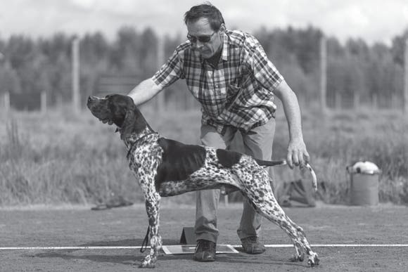 Kennel Haepakka oli ainut kasvattajaryhmä, joka esitettiin näyttelyssä. Komean rivin pointtereita Jorma esittikin saaden 1 KP ja ollen ROP-kasv. sekä BIS-kasv 1. Onnittelut!