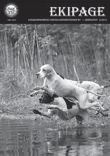 Pentuepalsta Suunnitteilla KENNEL Fornjot s Antti Korhonen, Askola @: apo.korhonen@gmail.