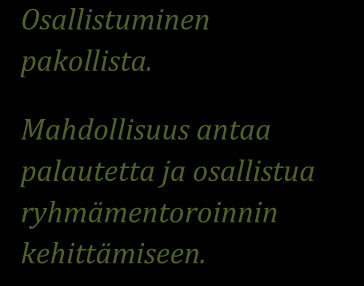 mentorointiryhmän toimintaan. 4.