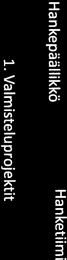Toteutusprojektit Kuva 2 Yleiskuva hankkeen organisoinnista