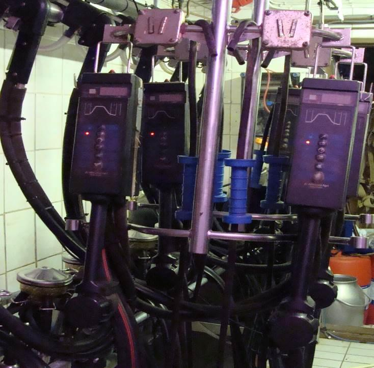 24 3.4.1 Lypsy parressa Parsilypsyssä lypsy-yksiköiden lukumäärä saisi olla korkeintaan 4-6 yksikköä lypsäjää kohti käytettäessä automaattisia lypsimen irrottimia (kuva 5).