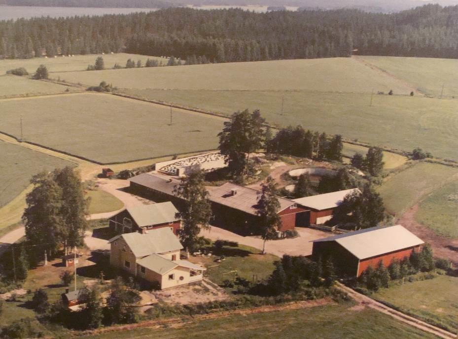41 Suopirtin tila siirtyi omistukseemme sukupolvenvaihdoksen myötä tammikuussa 1999.
