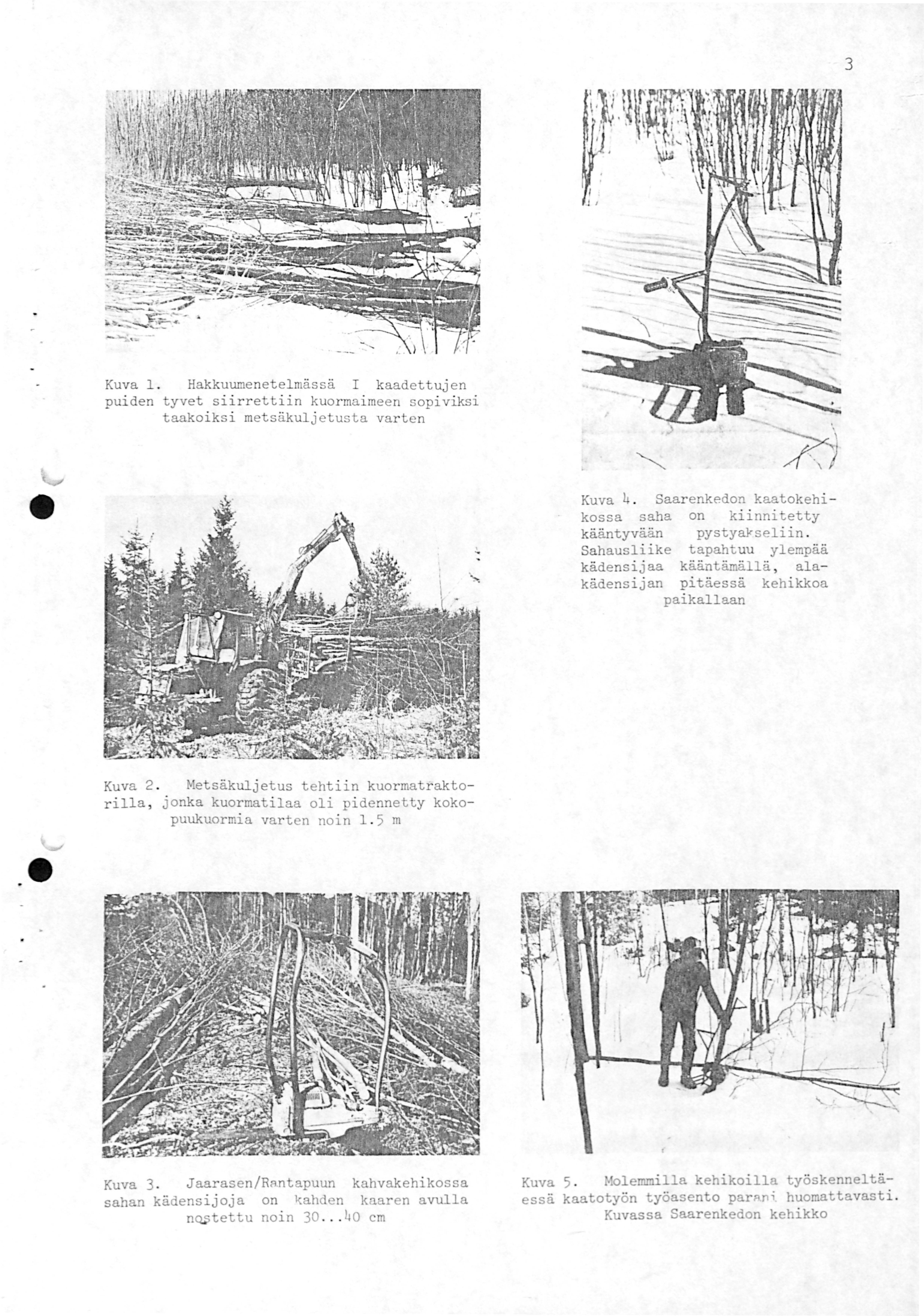 3 Kuva. Hakkuume netelmässä kaadettujen puiden tyvet si i rrettiin kuor maimeen sopiviksi taakoiks i metsäkuljetusta varten Kuva 4.