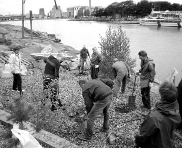 Männyntaimia istuttamassa (kuva Markku Leppävuori) Syystalkoot SPS:n perinteisiin syystalkoisiin osallistui sateesta huolimatta noin 70 seuralaista.