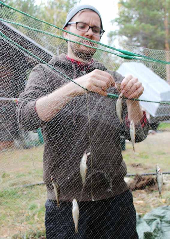 ... hauki (Esox lucius) 8 4,87 kiiski (Gymnocephalus cernuus) 0,8.... yhteensä 68 0,4 6,8 yhteensä kokonaissaalis oli 784 (47,9 kg). Keskimääräinen yksikkösaalis,6 kg.